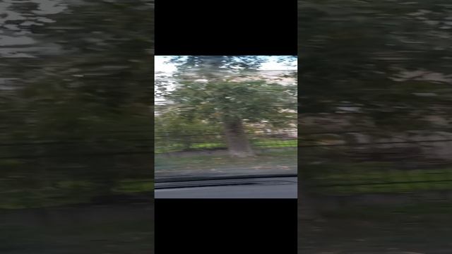Сижу в машине, жду Сашу, а дождь идет. Все, как всегда
