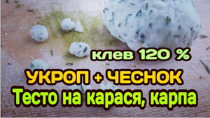 ТЕСТО ДЛЯ РЫБАЛКИ "ЧЕСНОК + УКРОП" НА КАРАСЯ. ТЕСТО НА КАРАСЯ, КАРПА, ПЛОТВУ ОСЕНЬЮ