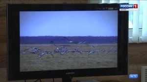 Путеводитель по Карелии ? Олонецкий район