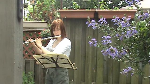 Andante in C - Mozart смотреть онлайн