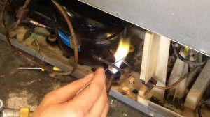 Samsung Ноу Фрост . Не работает морозилка и холодильник