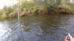 Ловим ХАРИУСА на поплавок в конце сентября...