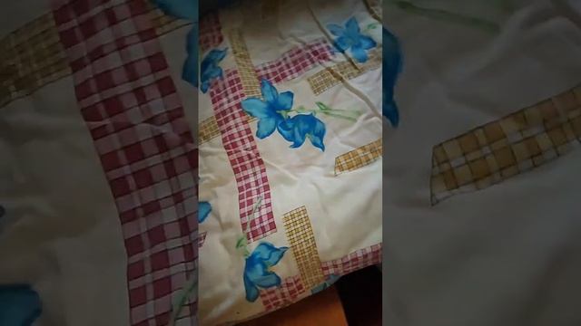 обзор дома смотреть онлайн