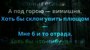 Моя цыганская | В  Высоцкий | Караоке +