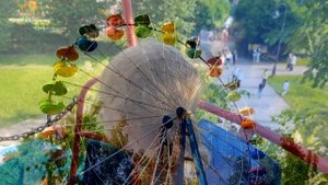 "Песня о Московском районе ". Музыка, стихи, исполнение - Михаил Лихачёв