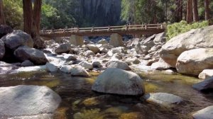 [4K] Yosemite National Park - California - Walking Tour