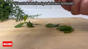 Gün İçinde Yediğiniz Her Şeyi Eriten Meyve Suyu: Yatmadan Önce İçin!