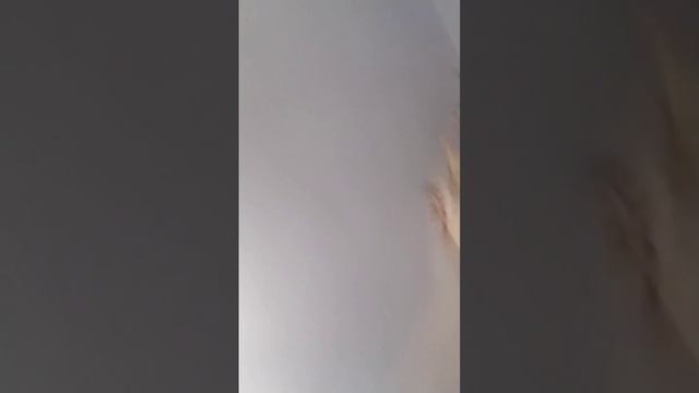 когда купил компьютер #tiktok