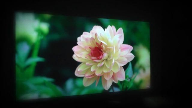 3D на ПРОЕКТОРЕ Впечатления/СРАВНЕНИЯ с ТВ и т.д. смотреть онлайн