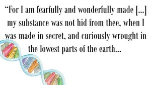 ПОТЕРЯННАЯ ИСТОРИЯ ПЛОСКОЙ ЗЕМЛИ Часть1