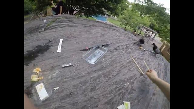 ОНИ ЕДЯТ СУШИ??? Кормим Голубей Суши смотреть онлайн