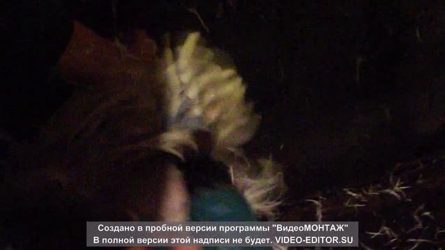 #Перосъемная насадка для шуруповерта или дрели смотреть онлайн