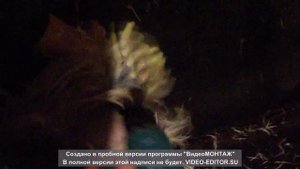 #Перосъемная насадка для шуруповерта или дрели