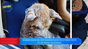 Самая маленькая мама в мире родила ребенка, хотя врачи говорили, что она умрет, если забеременеет