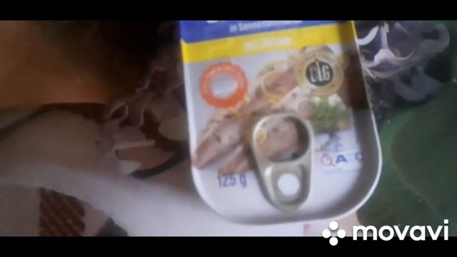 ЗАПАСЛИСЬ ОВОЩАМИ НА ЗИМУ. ЧТО ЕДИМ?ЗАКУПКА ИЗ АТБ. Запорожье. смотреть онлайн