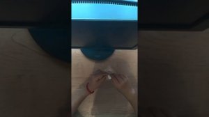 Как выращивать семена венериной  мухоловки