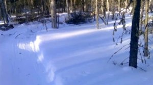 Пилю сухостой