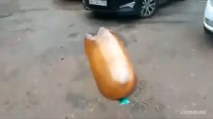 сок чемпион