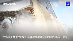 Путин: доля России на мировом рынке пшеницы – 20%