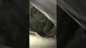 Замена троса капота Пежо 408