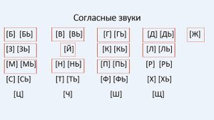 Гласные и согласные звуки