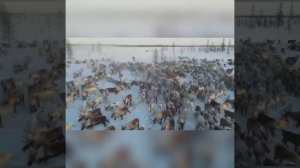 Моя родина Омолон. Магаданская область Северо-Эвенский район.