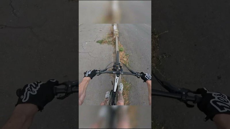 urban freeride