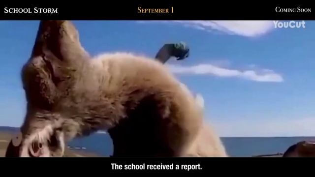 боюсь увидеть у сибя дома смотреть онлайн