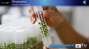 Чем лечить сухой кашель - это важно знать!