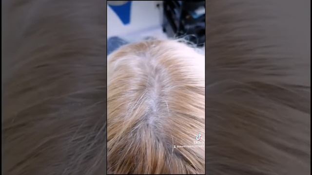 Чистый блонд!!! #окрашивание #блонд #окрашиваниеволос