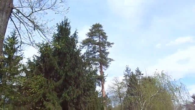 Отдых в городе Горячий Ключ! Предгорье Кавказа.