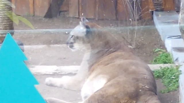 Роев Ручей 9 часть смотреть онлайн