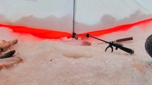 как поймать рыбу?легко ! главное червяк на крючке)))