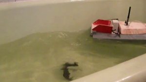 RC сarp boat радиоуправляемый катер для рыбалки проба