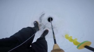 Судак на вибы в толпе. В чем секрет удачной рыбалки?
