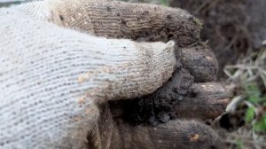 Коп монет 2023. Весна. Поиск монет с металлоискателем.