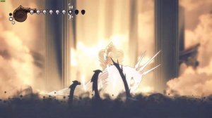 Hollow Knight - Absolute Radiance - Ascended