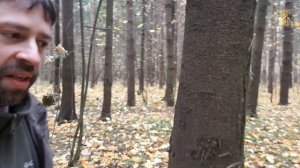 GARMIN XERO | Тест прицела для лука с дальномером | Пристрелка | Использование | Выводы | Ч.3