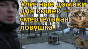 Уличные домики для кошек — смертельная ловушка. 2020 -03-20