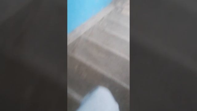 Зашёл в чужой подезд где домофон Мк 2008.2 смотреть онлайн