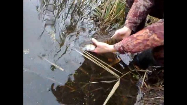 Щука и Судак в Декабре. смотреть онлайн