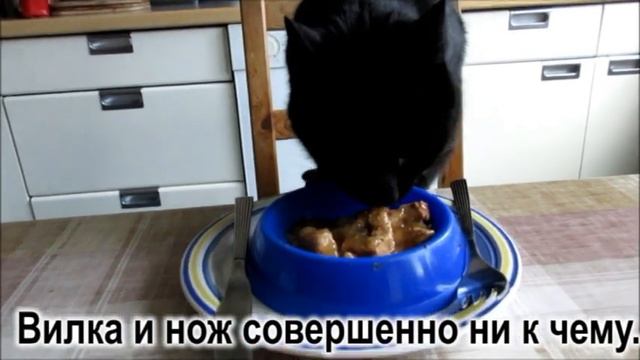 Пройдоха Учим разговорный немецкий без учебника с переводом Бесплатная онлайн программа по темам смотреть онлайн