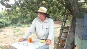 антивирусная обработка пчёл осенью