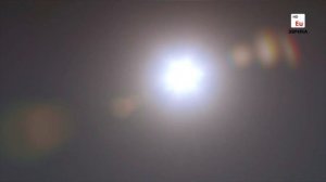 Тайное царство: Грибы, определившие наш мир