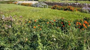 Осень, Воронцовский парк в Симферополе