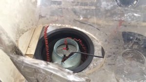 Покрытие родием