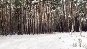 Малые города России/Яранск/Лучший дом Кировской области/Аллея Славы/Как я в гости попала?