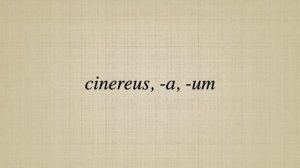 cinereus,  a,  um
