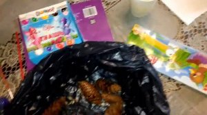 Красим шишки гуашью, собрали в лесу