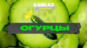 Кавказ накормит. Огурцы